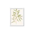 Picture of Botanical Strand II _GroupedProduct_Rectangle_Portrait_Framed_Matted_