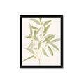 Picture of Botanical Strand II _GroupedProduct_Rectangle_Portrait_Framed_Matted_