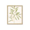 Picture of Botanical Strand II _GroupedProduct_Rectangle_Portrait_Framed_Matted_