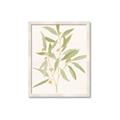 Picture of Botanical Strand II _GroupedProduct_Rectangle_Portrait_Framed_Matted_