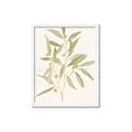Picture of Botanical Strand II _GroupedProduct_Rectangle_Portrait_Framed_Matted_