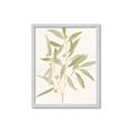 Picture of Botanical Strand II _GroupedProduct_Rectangle_Portrait_Framed_Matted_
