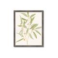Picture of Botanical Strand II _GroupedProduct_Rectangle_Portrait_Framed_Matted_