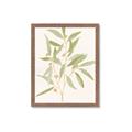 Picture of Botanical Strand II _GroupedProduct_Rectangle_Portrait_Framed_Matted_