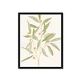 Picture of Botanical Strand II _GroupedProduct_Rectangle_Portrait_Framed_Matted_