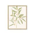 Picture of Botanical Strand II _GroupedProduct_Rectangle_Portrait_Framed_Matted_