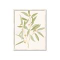 Picture of Botanical Strand II _GroupedProduct_Rectangle_Portrait_Framed_Matted_