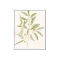 Picture of Botanical Strand II _GroupedProduct_Rectangle_Portrait_Framed_Matted_