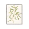 Picture of Botanical Strand II _GroupedProduct_Rectangle_Portrait_Framed_Matted_
