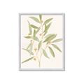 Picture of Botanical Strand II _GroupedProduct_Rectangle_Portrait_Framed_Matted_