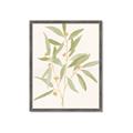 Picture of Botanical Strand II _GroupedProduct_Rectangle_Portrait_Framed_Matted_