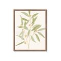 Picture of Botanical Strand II _GroupedProduct_Rectangle_Portrait_Framed_Matted_