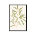 Picture of Botanical Strand II _GroupedProduct_Rectangle_Portrait_Framed_Matted_