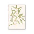 Picture of Botanical Strand II _GroupedProduct_Rectangle_Portrait_Framed_Matted_