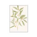 Picture of Botanical Strand II _GroupedProduct_Rectangle_Portrait_Framed_Matted_