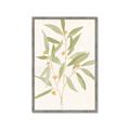 Picture of Botanical Strand II _GroupedProduct_Rectangle_Portrait_Framed_Matted_