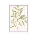 Picture of Botanical Strand II _GroupedProduct_Rectangle_Portrait_Framed_Matted_