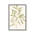 Picture of Botanical Strand II _GroupedProduct_Rectangle_Portrait_Framed_Matted_