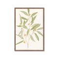 Picture of Botanical Strand II _GroupedProduct_Rectangle_Portrait_Framed_Matted_