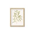 Picture of Botanical Strand II _GroupedProduct_Rectangle_Portrait_Framed_Matted_