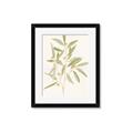 Picture of Botanical Strand II _GroupedProduct_Rectangle_Portrait_Framed_Matted_