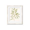 Picture of Botanical Strand II _GroupedProduct_Rectangle_Portrait_Framed_Matted_