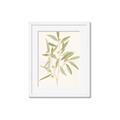 Picture of Botanical Strand II _GroupedProduct_Rectangle_Portrait_Framed_Matted_