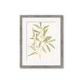 Picture of Botanical Strand II _GroupedProduct_Rectangle_Portrait_Framed_Matted_