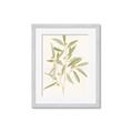 Picture of Botanical Strand II _GroupedProduct_Rectangle_Portrait_Framed_Matted_