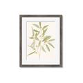 Picture of Botanical Strand II _GroupedProduct_Rectangle_Portrait_Framed_Matted_