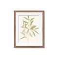 Picture of Botanical Strand II _GroupedProduct_Rectangle_Portrait_Framed_Matted_