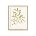 Picture of Botanical Strand II _GroupedProduct_Rectangle_Portrait_Framed_Matted_