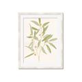 Picture of Botanical Strand II _GroupedProduct_Rectangle_Portrait_Framed_Matted_