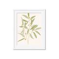 Picture of Botanical Strand II _GroupedProduct_Rectangle_Portrait_Framed_Matted_