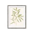 Picture of Botanical Strand II _GroupedProduct_Rectangle_Portrait_Framed_Matted_
