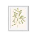 Picture of Botanical Strand II _GroupedProduct_Rectangle_Portrait_Framed_Matted_