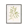 Picture of Botanical Strand II _GroupedProduct_Rectangle_Portrait_Framed_Matted_