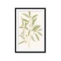 Picture of Botanical Strand II _GroupedProduct_Rectangle_Portrait_Framed_Matted_
