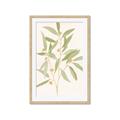 Picture of Botanical Strand II _GroupedProduct_Rectangle_Portrait_Framed_Matted_
