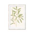 Picture of Botanical Strand II _GroupedProduct_Rectangle_Portrait_Framed_Matted_