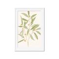 Picture of Botanical Strand II _GroupedProduct_Rectangle_Portrait_Framed_Matted_