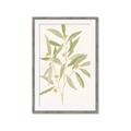 Picture of Botanical Strand II _GroupedProduct_Rectangle_Portrait_Framed_Matted_