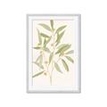 Picture of Botanical Strand II _GroupedProduct_Rectangle_Portrait_Framed_Matted_