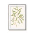 Picture of Botanical Strand II _GroupedProduct_Rectangle_Portrait_Framed_Matted_
