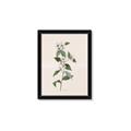 Picture of Swaying Foliage III _GroupedProduct_Rectangle_Portrait_Framed_Matted_