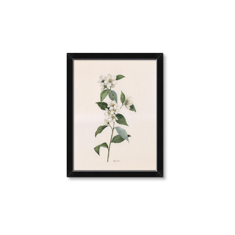 Picture of Swaying Foliage III _GroupedProduct_Rectangle_Portrait_Framed_Matted_