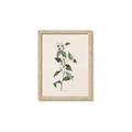 Picture of Swaying Foliage III _GroupedProduct_Rectangle_Portrait_Framed_Matted_