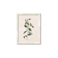 Picture of Swaying Foliage III _GroupedProduct_Rectangle_Portrait_Framed_Matted_