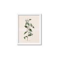 Picture of Swaying Foliage III _GroupedProduct_Rectangle_Portrait_Framed_Matted_