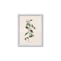 Picture of Swaying Foliage III _GroupedProduct_Rectangle_Portrait_Framed_Matted_